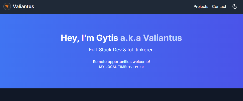Portfolio screenshot